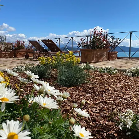 Апарт-готель Miramare Apartments&suites 3*